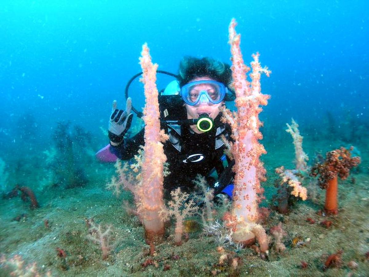 Bentrina Diving Resort Mabini  Exterior photo